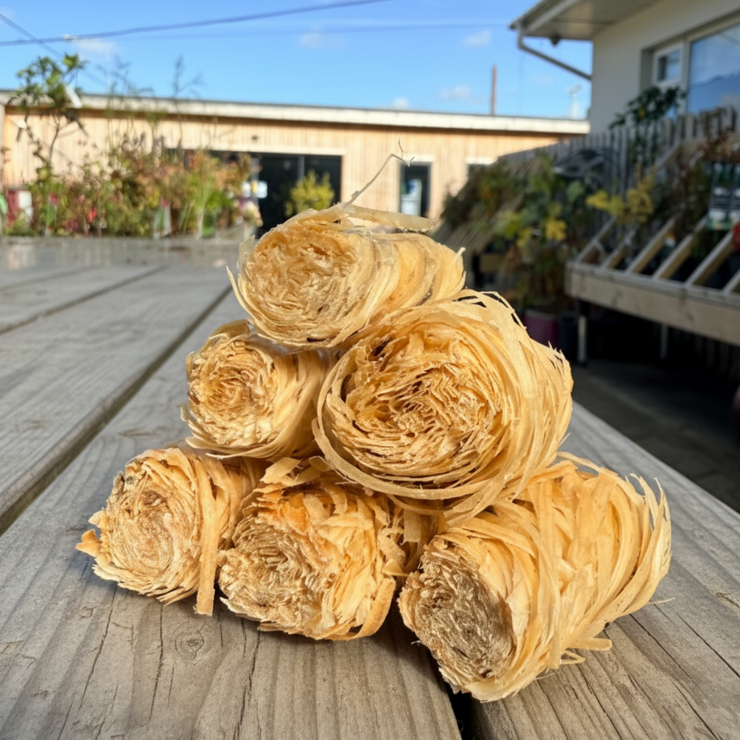 Eco-Friendly Firelighters | 50 Natural Wood Wool Fire Starters